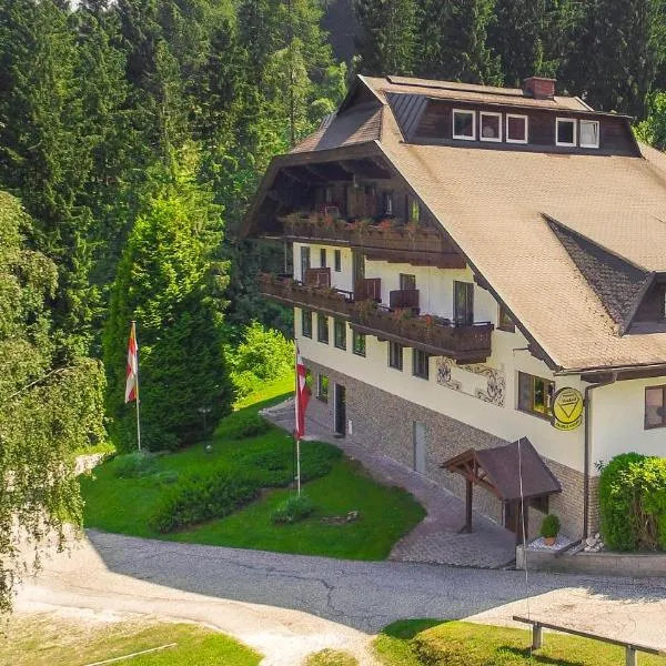 Pension Almhof, hotel in Innere Einöde