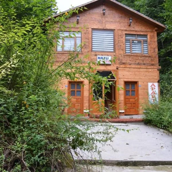 AYDER Nazlı çiçek apart, khách sạn ở Ayder Yaylasi
