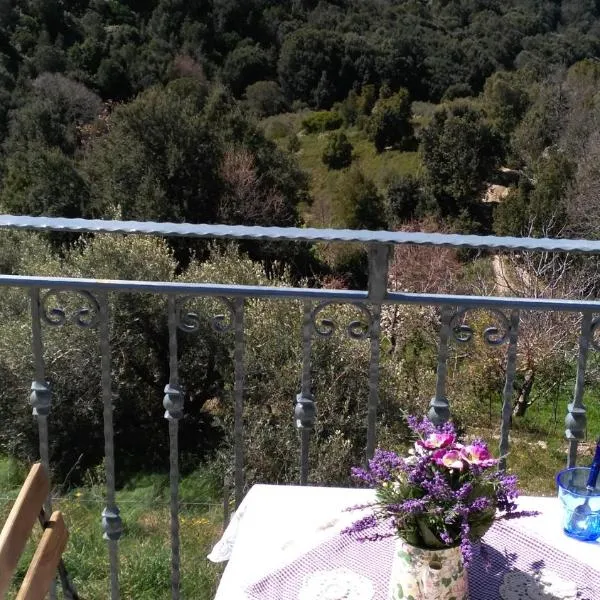 Stellaria casa vacanze in montagna panorama stupendo Sardegna, hotel di Seùlo