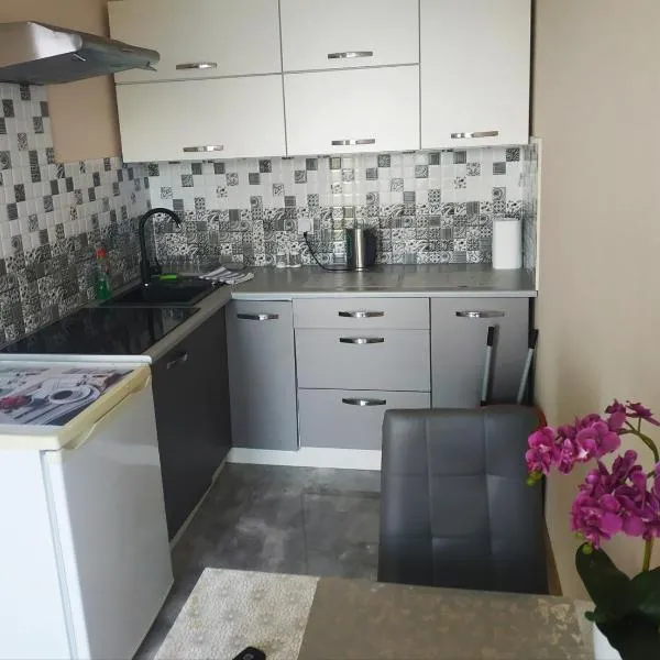 Oskar Apartament Centrum PKP, hotel en Mińsk Mazowiecki