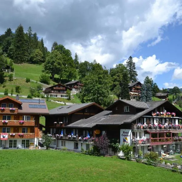 Hotel Caprice - Grindelwald, hotel Grindelwaldban