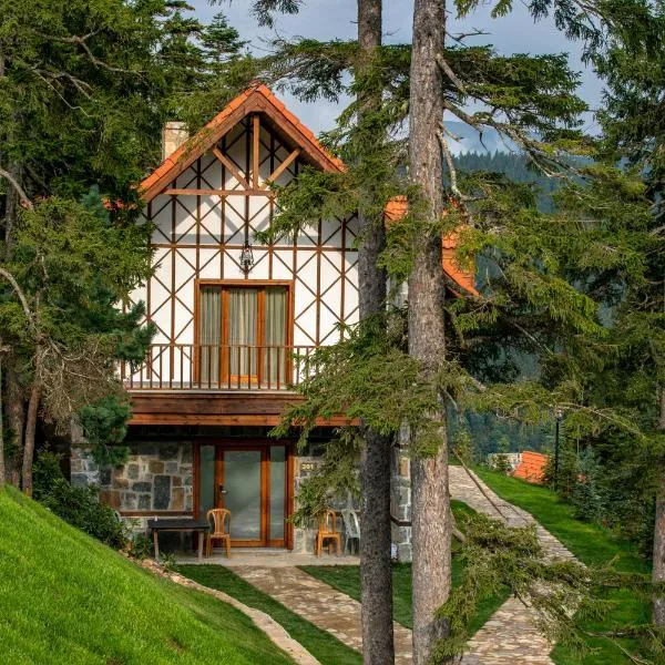 Foleya Mountain Resort Hotel & Villas, khách sạn ở Trabzon