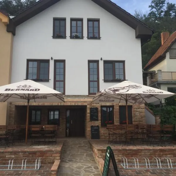 Penzion Šedivý, hôtel à Strachotín