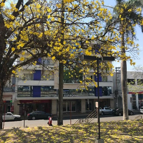 Vip Hotel, hotel in Barra Bonita