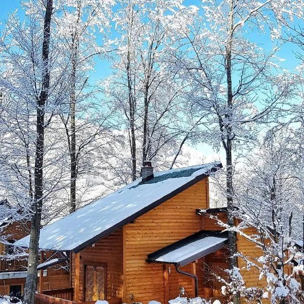 Vila Amarone Brezovicë, hotel v mestu Štrpce