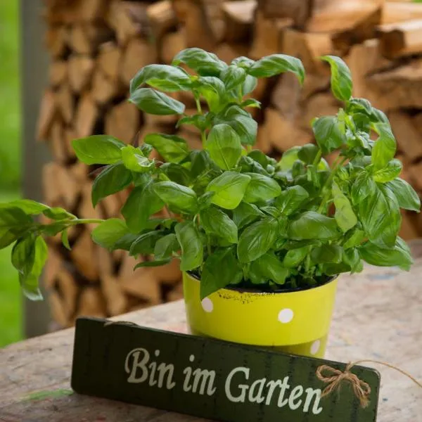 Gartenstudio Waldblick, ξενοδοχείο σε Schwarzenberg im Bregenzerwald