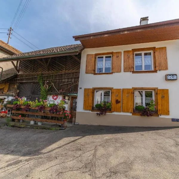 Pension Chesselberg, hotel in Sissach