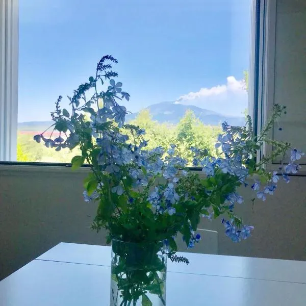 La Finestra Sull'Etna, Hotel in Motta SantʼAnastasia