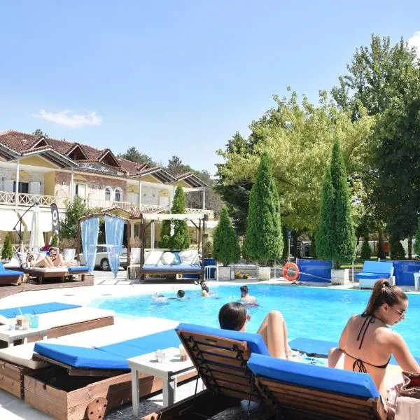 Krikonis Hotel, hotell i Ioannina