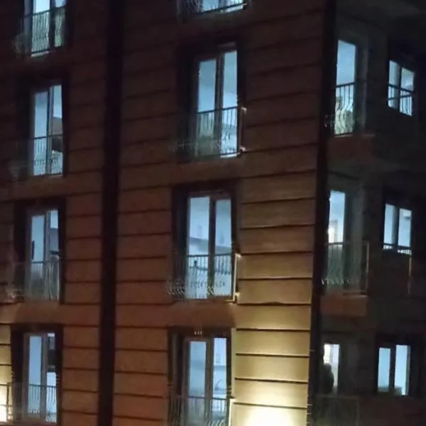 ÇİÇEK APART OTEL, hotel v destinaci Didim