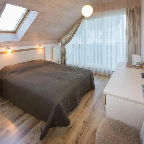 Vila Domino, hotel in Palanga