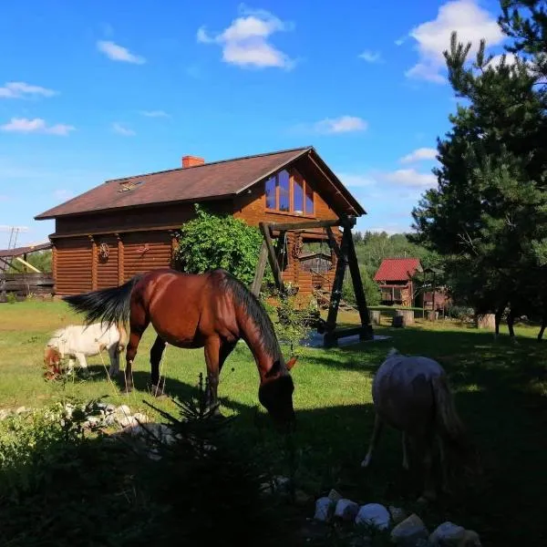 Skaistkrasti, hôtel à Turkalne