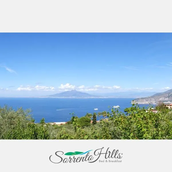 Sorrento Hills, hotel v Sorrentu