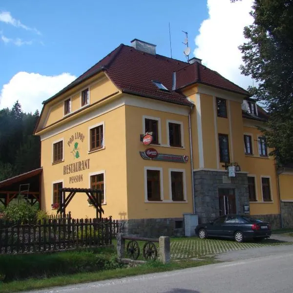 Pension Pod Lipou, hotel v Loučovicích