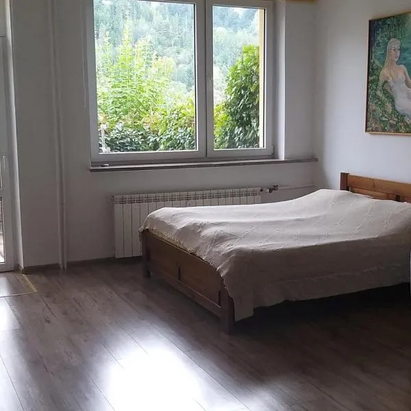 Zielona Przystań Apartament z widokiem na Pieniny, hotel u gradu Jaworki