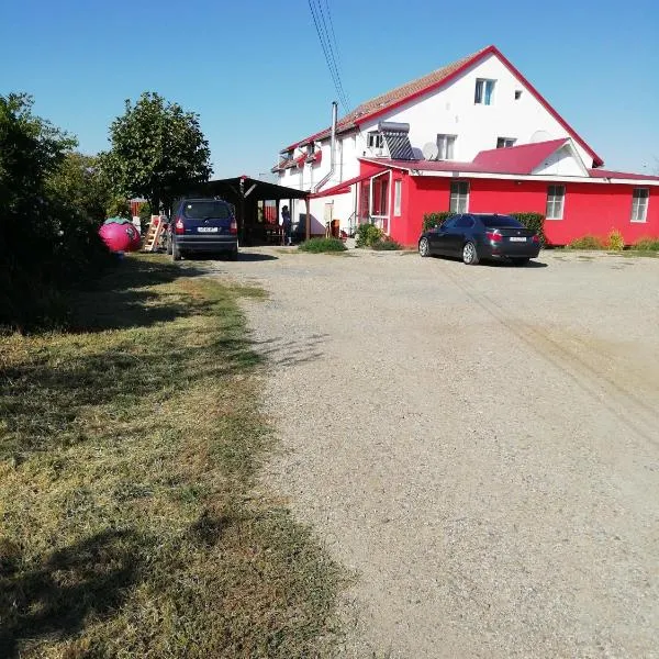 Pensiunea Mario, hotel in Nădab