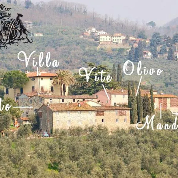 Fattoria di Fubbiano, hotel v destinaci Collodi