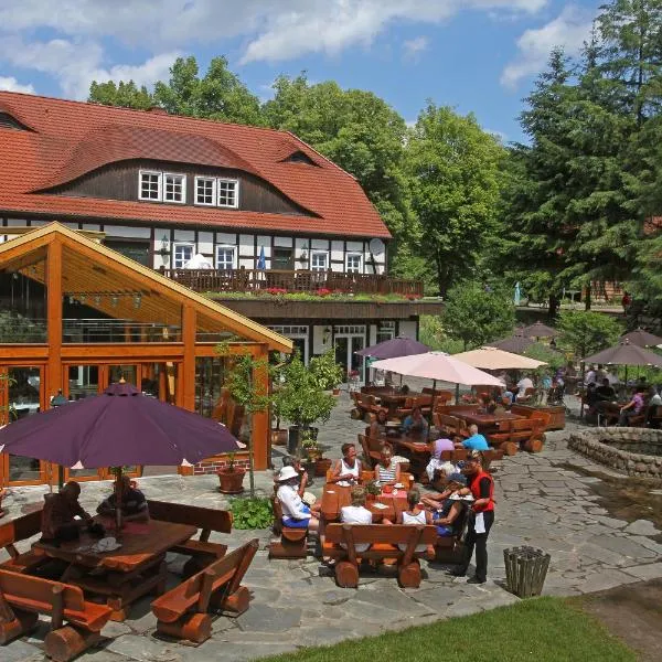 Hotel Boltenmühle, hotel in Warenthin