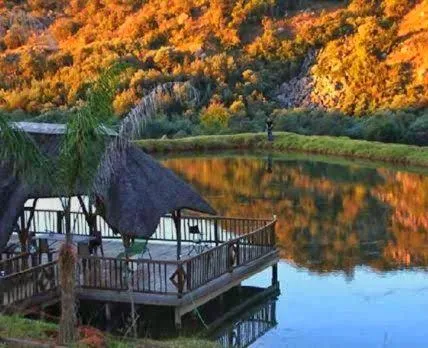 Dog Friendly Bed and breakfast $Piet Retief - $Emahlathini Guest Farm