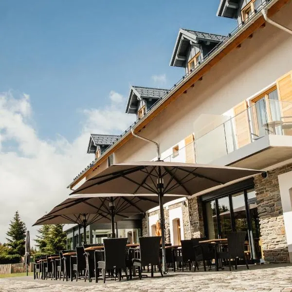 Hotel Tannenhaus, hotel v destinaci Schöneck