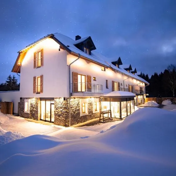 Hotel Tannenhaus, hotel in Schöneck