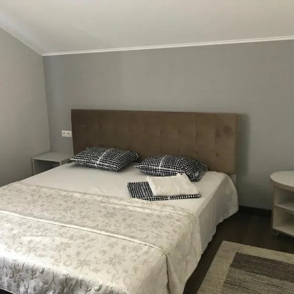 Guest House Olzhycha 45 Б, hotel in Kyiv