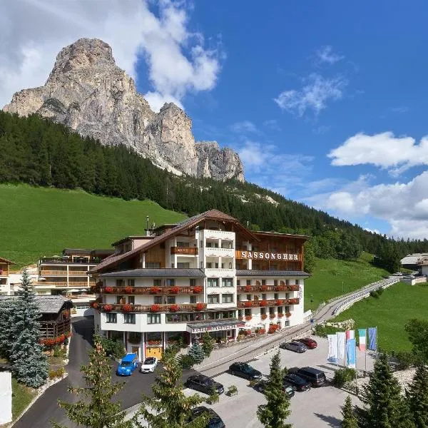 Hotel Sassongher, Hotel in Kurfar