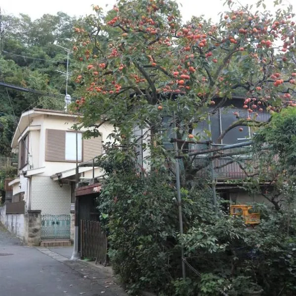 Sadie's Home、Izumiのホテル