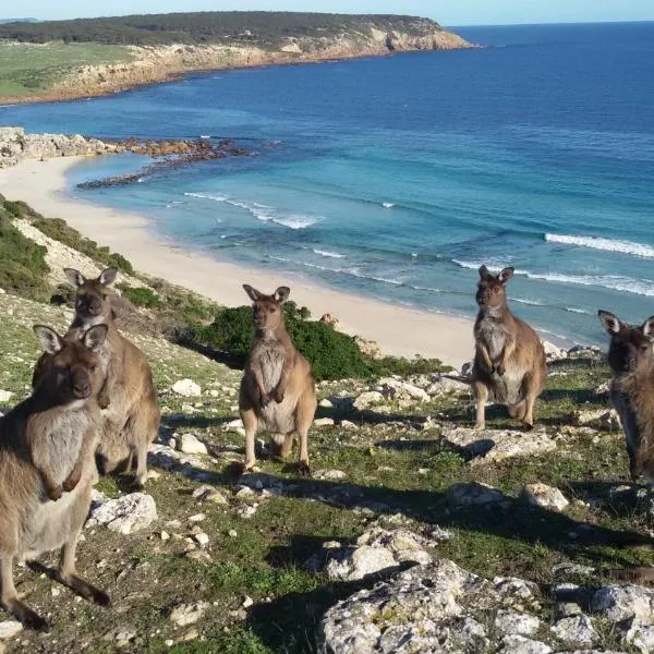 Waves & Wildlife Cottages Kangaroo Island, hotel en Parndana