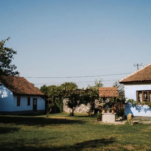 La Mama Anica, hotel di Porumbacu de Sus