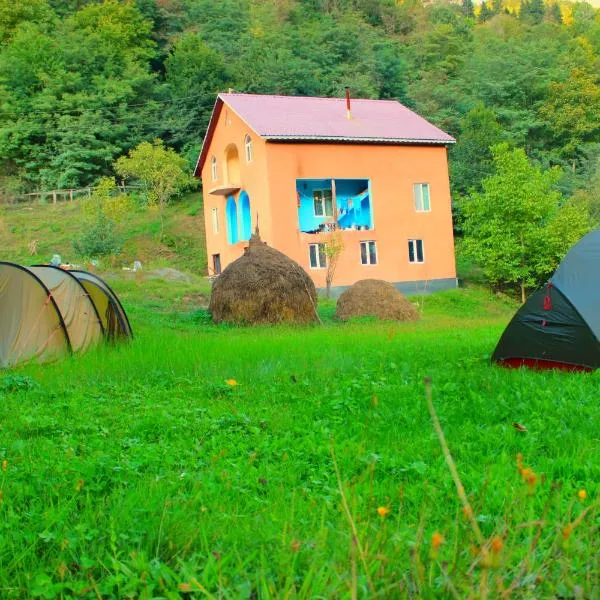 Guest House "Oasis", отель в городе Khulo