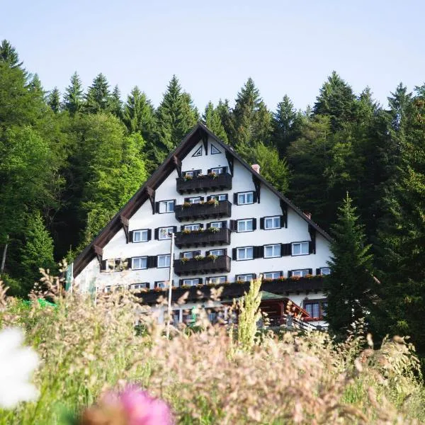 Hotel Tisa Pohorje, hotel v mestu Hočko Pohorje