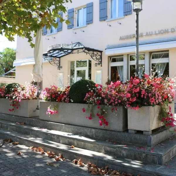 Auberge Au Lion d'Or, khách sạn ở Tannay