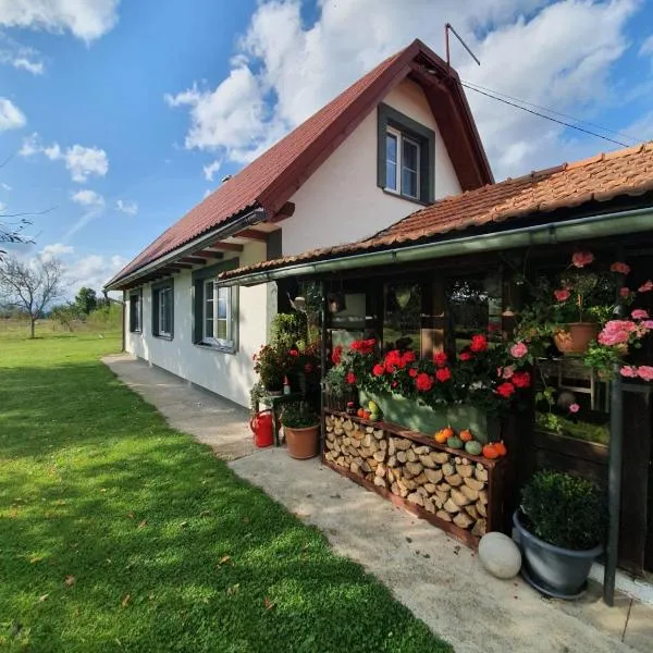 Village House Flowerside, hotel in Gospić