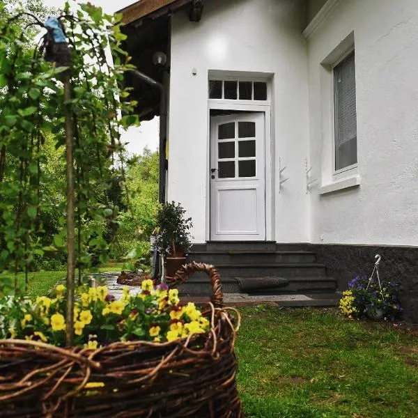 Wohnung am Wasser, hotel en Witzeeze