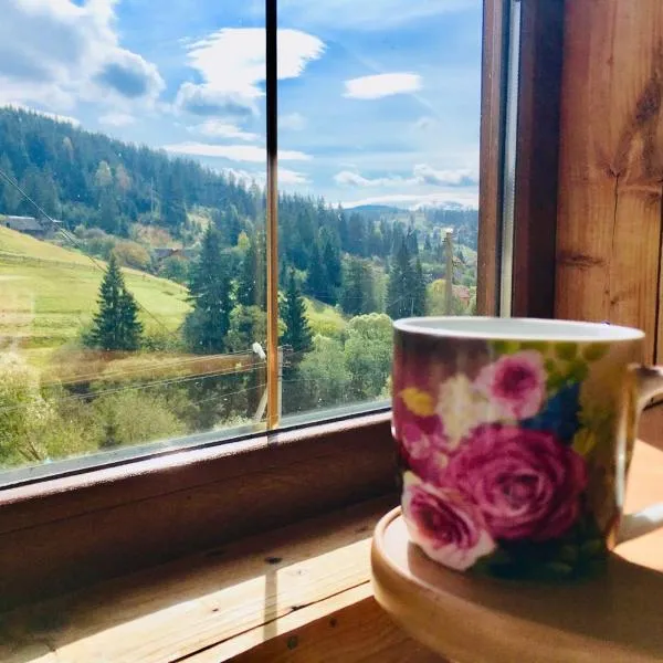 U Daryny、ヤブルニツァのホテル