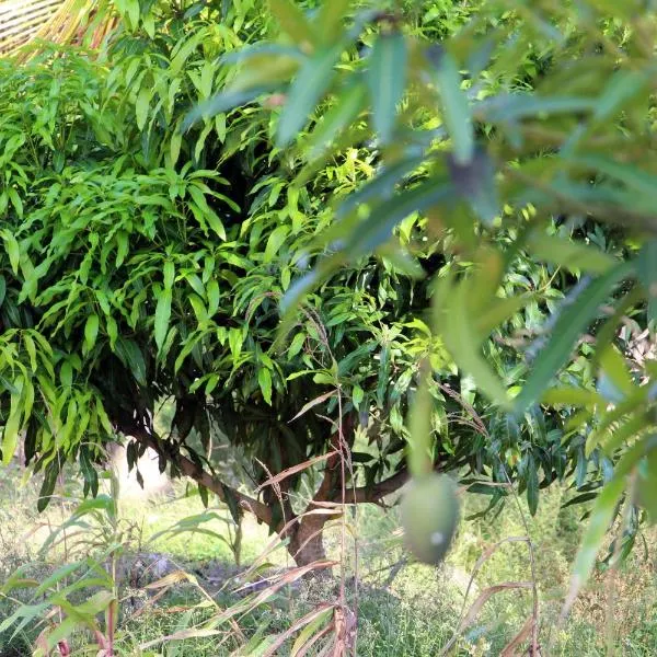 ASSOUKA Eco-Village du lac Nokoué, hotel v destinaci Abomey-Calavi