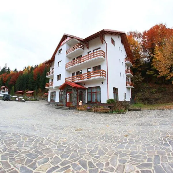 Hotel Paltinis, hotel din Borşa