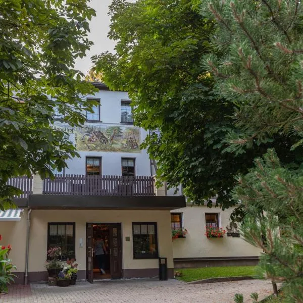 Waldgasthof & Hotel Am Sauwald, hotel v destinaci Tannenberg