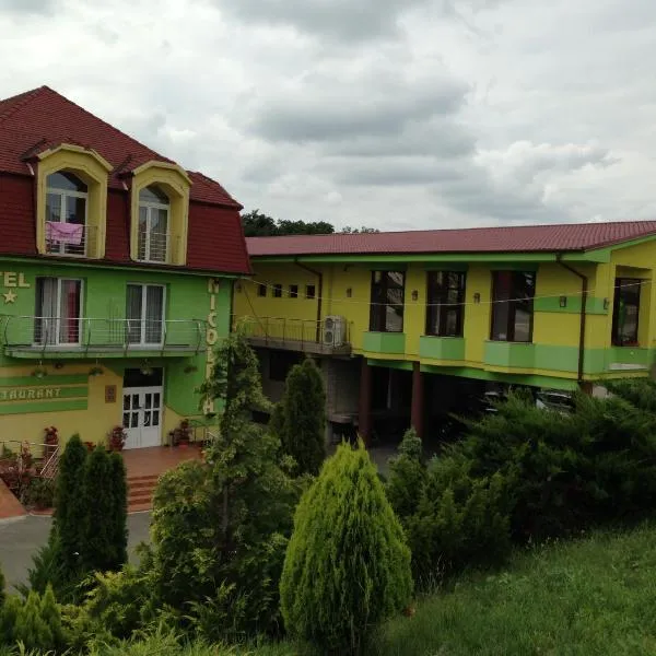 Hotel Nicoleta, hotel v destinaci Băile Felix