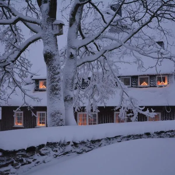 Verlegerhaus Seiffen, hotel en Seiffen