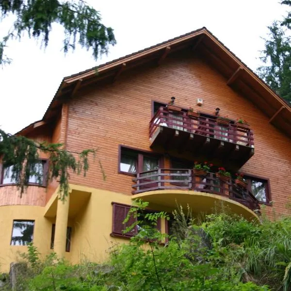 Vila Gal, hotel in Lacu Rosu