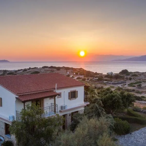 Irene Komos, hotel v destinaci Pitsidia