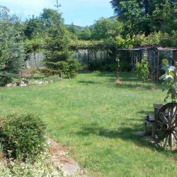 Vila Dedo Liben, hotel em Vratsa