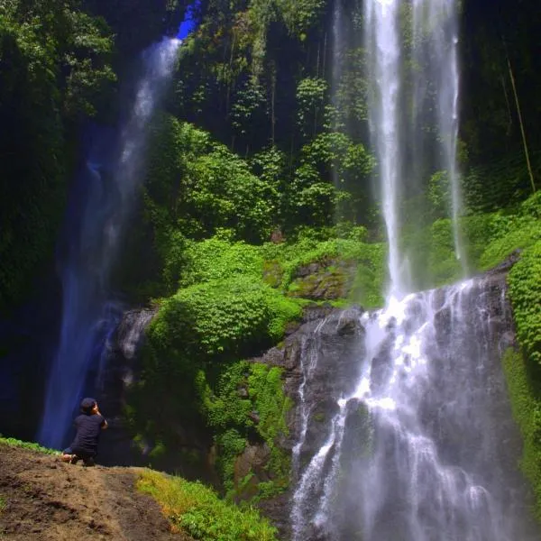Ananda Homestay, Hotel in Singaraja