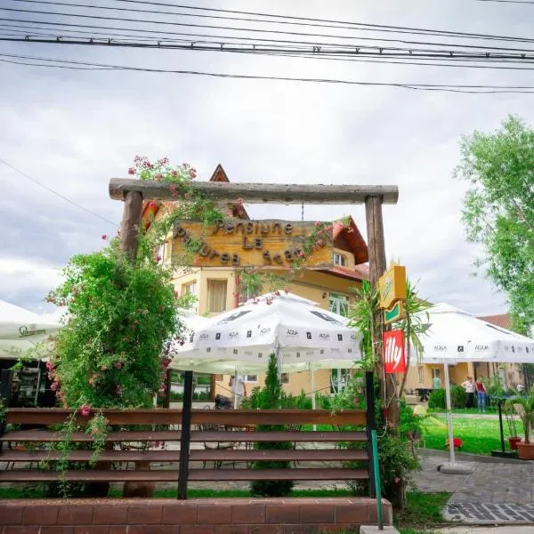 La Pădure Pensiune-Restaurant, готель у місті Новачі-Страіні