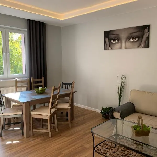 Grey apartment 50 m2, Hotel in Tarnowitz