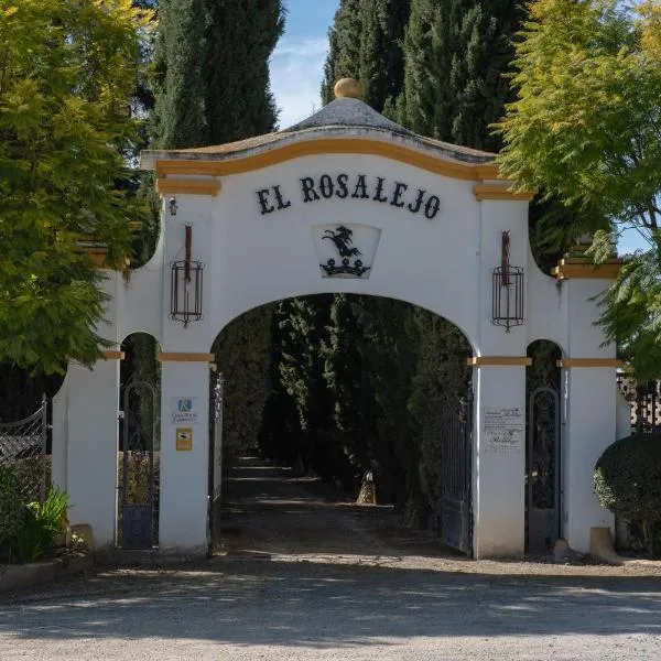 Hacienda El Rosalejo, hotel en Villamartín