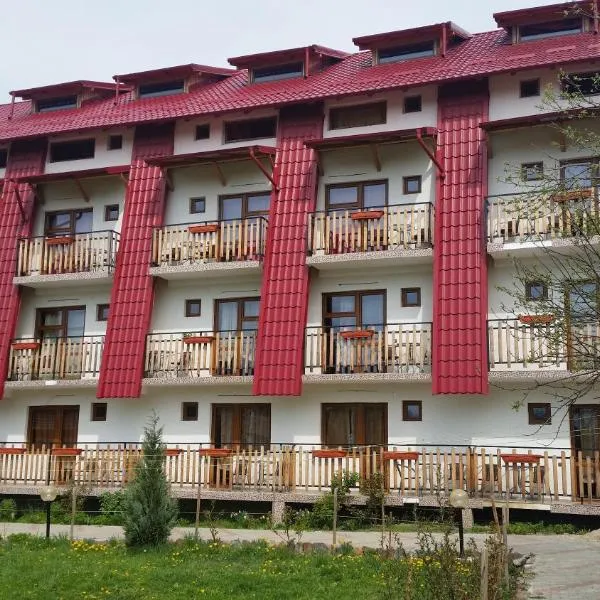 Vila Dracula, hotel in Căpăţîneni-Pămînteni