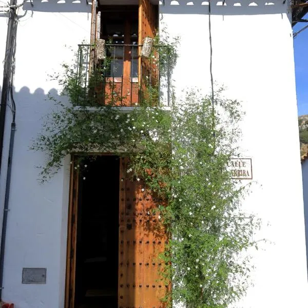 Casa Rural en Grazalema, hotel en Grazalema